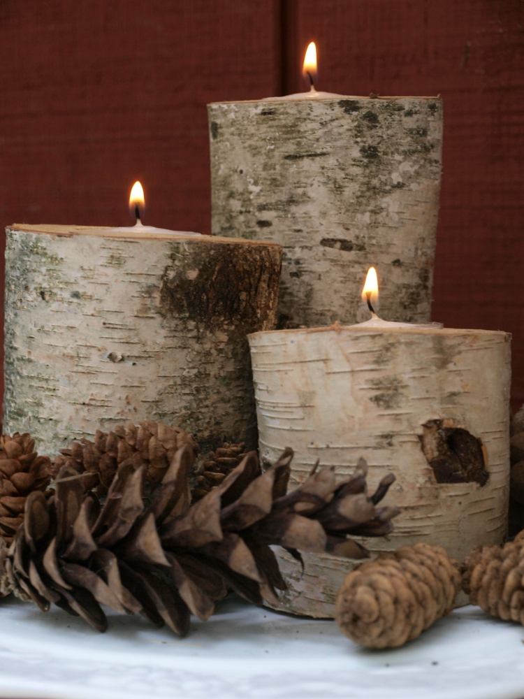 pekný nápad na jesennú výzdobu s kmeňmi brezy Kmeň brezy-deko-držiak na čajovú sviečku-jeseň-zima-inšpirácia
