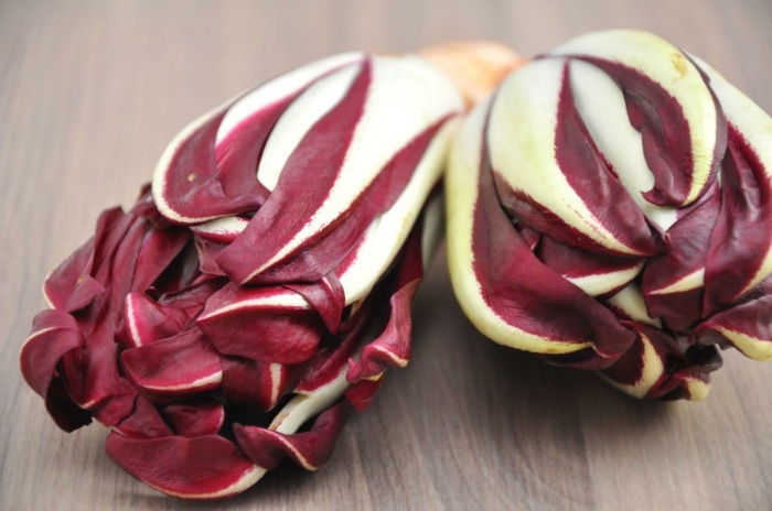 radicchio druh predĺžený šalát rastliny červená farba zdravá