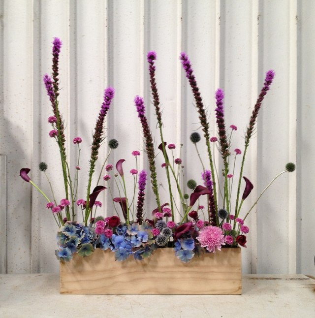 Rastliny, ktoré rastú v interiéri, zdobia zelenú stenu