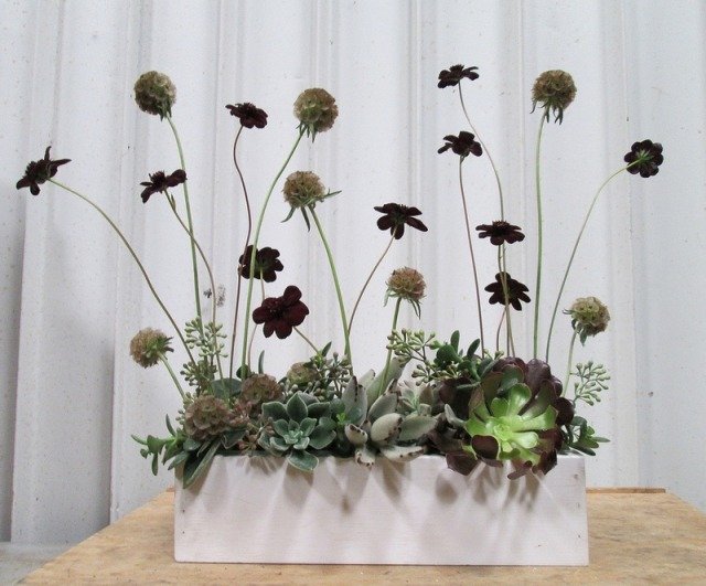 Dizajnové usporiadanie-nápady Sukulentný kaktusový dekoratívny prvok do domácnosti