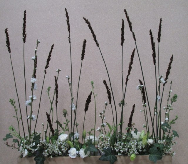 Okrasné trávy rastliny nápady Kvetinová aranžmán profesionálne aranžmán