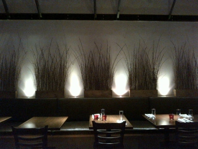 izbové rastliny trvalky pestovanie efektívne osvetlenie-obývačka jedáleň deco