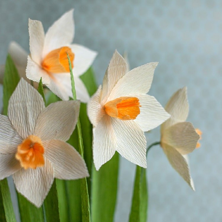 Vyrobte si z krepového papiera jarné kvety - narcisy v bielych alebo žltých narcisoch