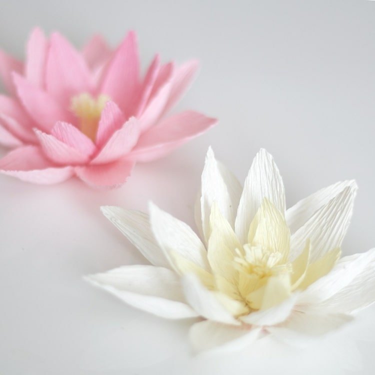 Lekno v bielej, ružovej alebo ružovej farbe pre romantickú letnú dekoráciu