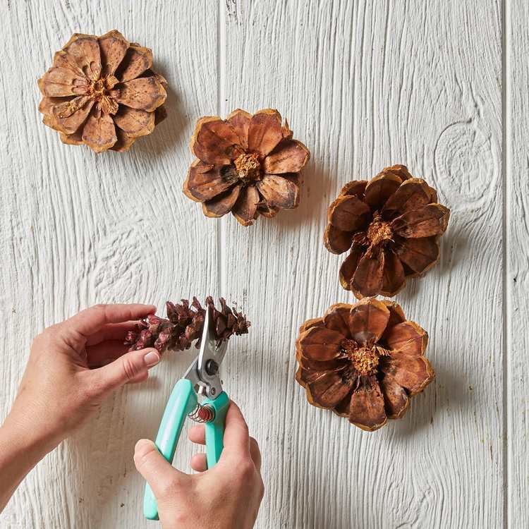 Šišky narežeme na dva pokyny