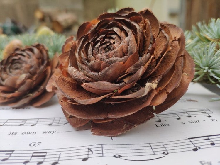Vianočná dekorácia s kvetmi z borovicových šišiek na hudobnom papieri