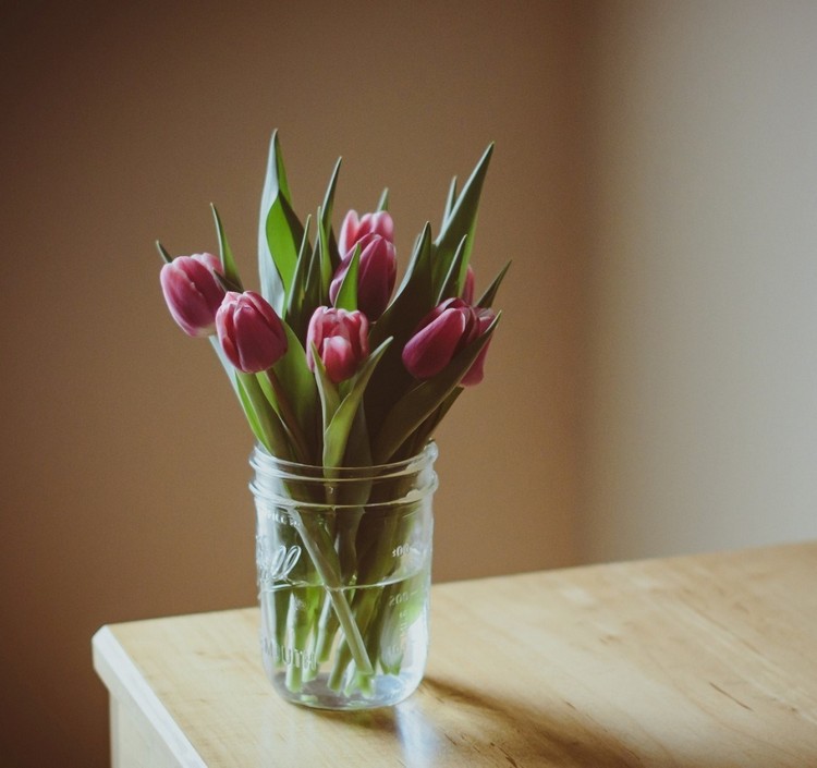 kvetinová dekorácia-jar-purpurová-tulipán-džem-jar