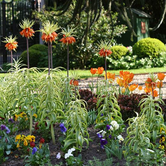 Myšlienka dizajnu záhradnej postele