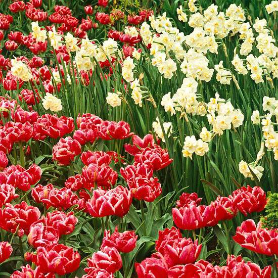 romantický záhradný vidiecky štýl