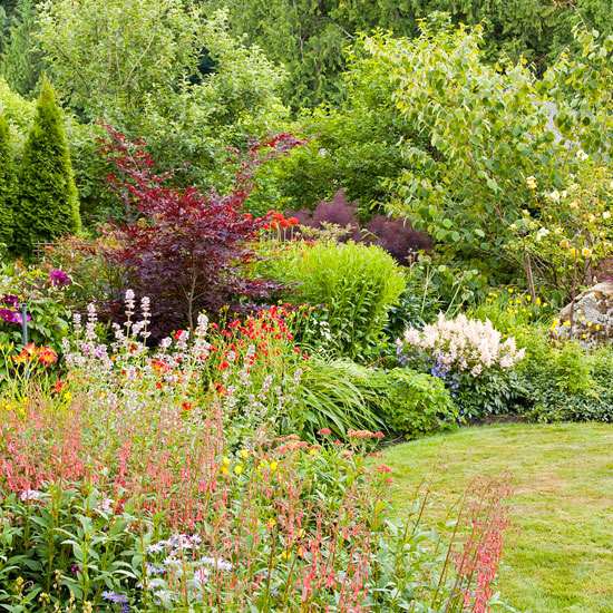 Záhradný dizajn vytvára kvetinové kríky