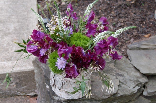 Krásne kvety v originálnej brezovej váze kvety fialová machová váza kmeň brezy