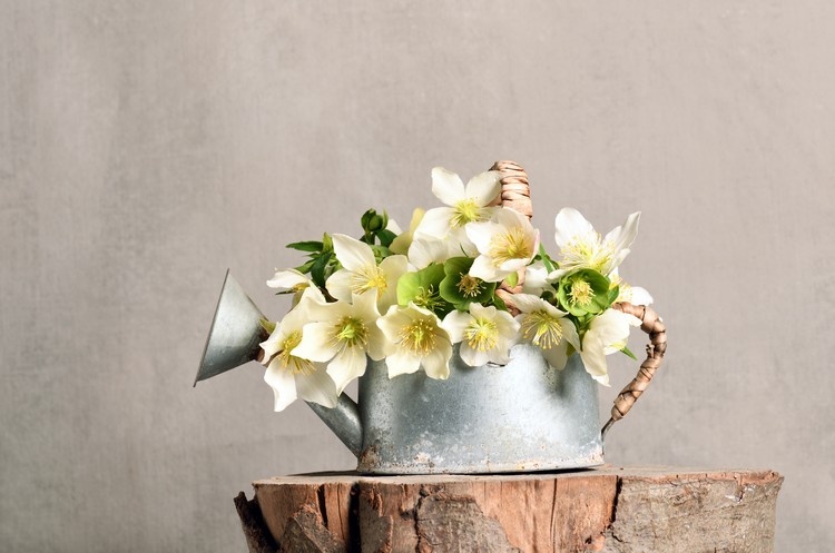 Kvetinová výzdoba v nápadoch na jarnú výzdobu obývačky