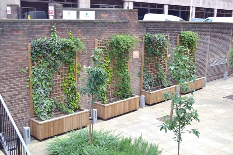 Kvetinový box-mreže-rastliny-popínavý-box-brečtan-vždyzelený-rastlina