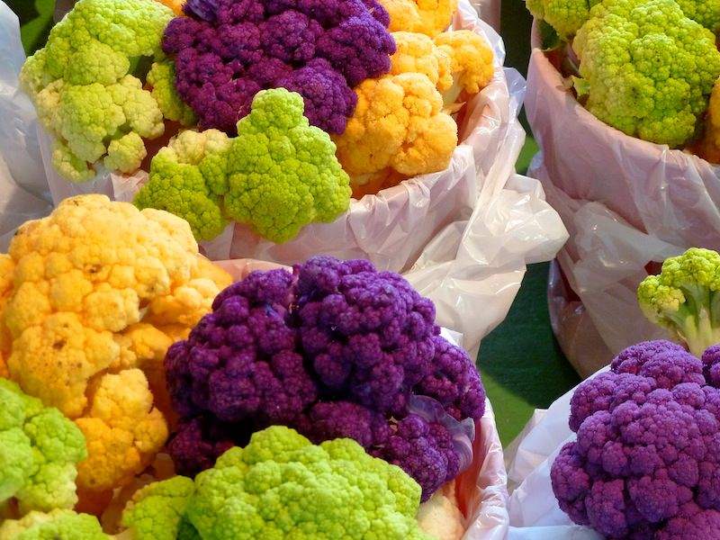 Pestovanie karfiolovej záhrady