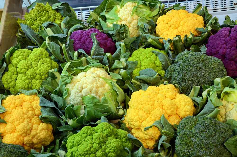 Pestovanie karfiolu v záhrade