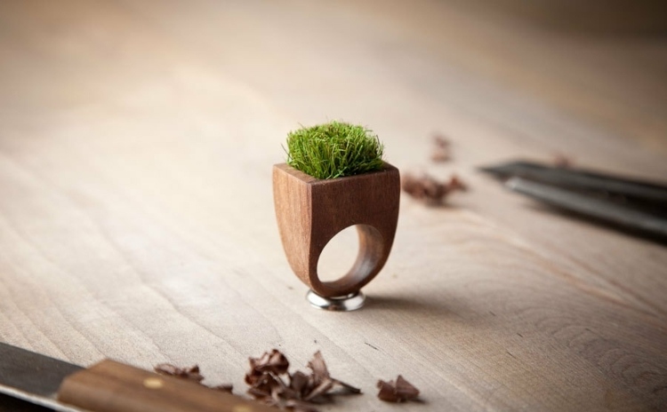 prsteň kvetináč dizajn drevo trávnik rastliny nôž šperky