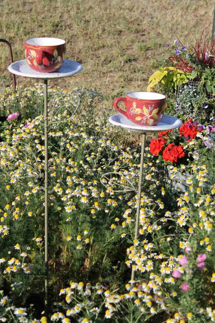 vonkajší kvetináč nápad pohár farebný tanier dizajn lúka