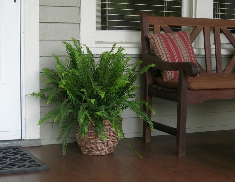 Kvetináč-papradie-tieň-meč papradie-veranda-dizajn-lavička-rastliny-ozdobiť
