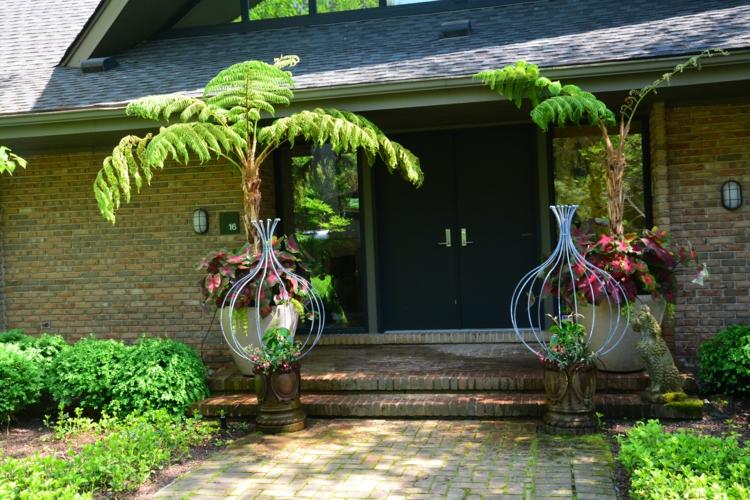 kvetináč-papradie-tieň-nový zéland-strom-papraď-vonkajšia-dekorácia-črepníková rastlina