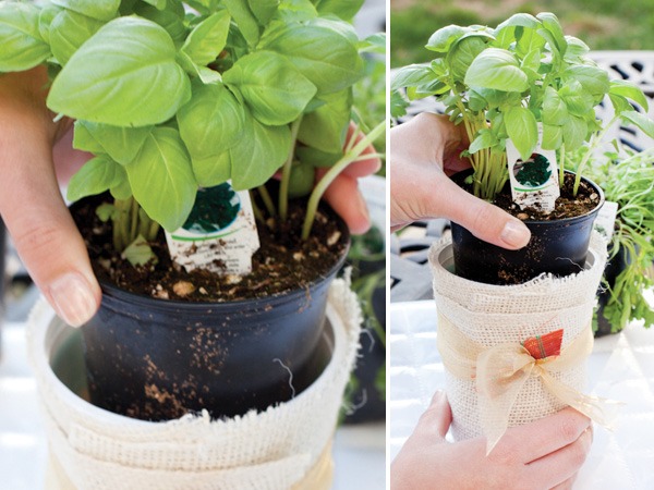 Zasaďte si svoj vlastný kvetináč upcyklovanej bylinkovej záhrady výsadba kvetináča urobte to sami bylinková záhrada