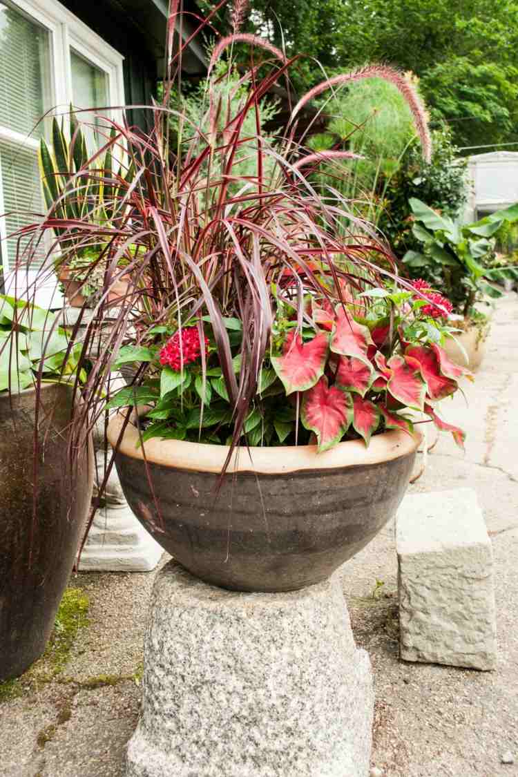 kvetináče-záhradná výsadba-červeno-zelené-listy-terasa-inšpirácia