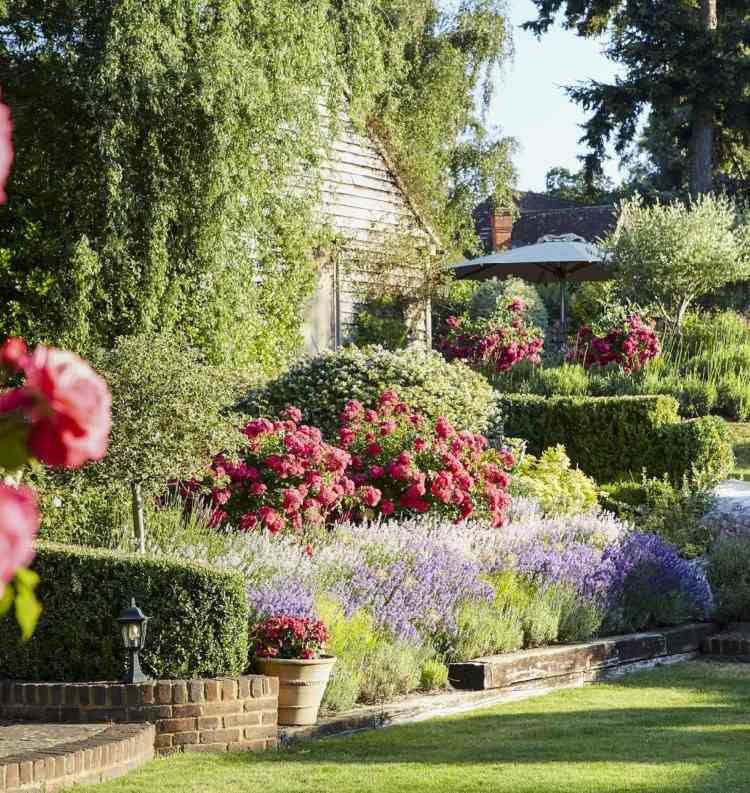 Pôda pod ružovým kríkom, čo zasadiť nápady