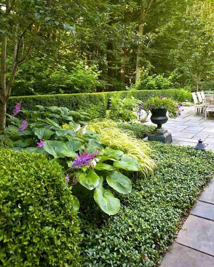 ideálna pôdna pokrývka v záhone ground-cover-vinca-minor-funkien-green-lily