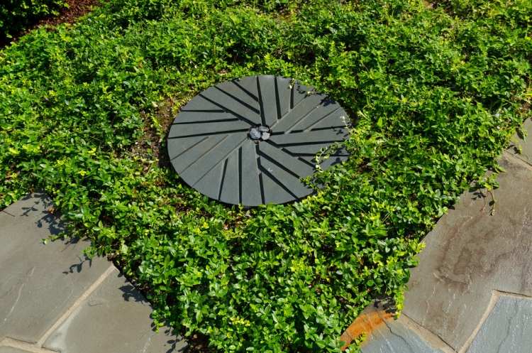 brčál dodá záhrade farbu a textúru pôdopokryvná-vinca-menšia-vždyzelená-listy