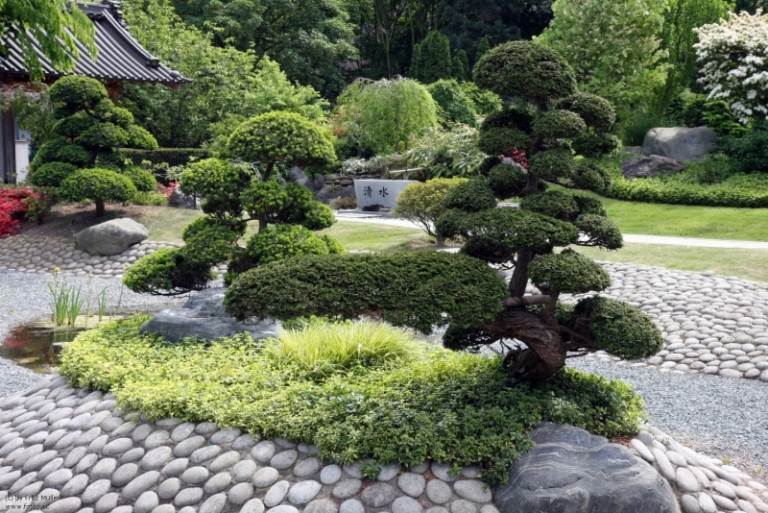 Dizajnová zenová záhrada v japonskom štýle Bonsai strom záhrada nápady nápady skalná záhrada