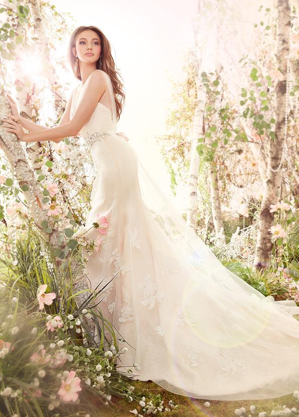 Jim-Hjelm-svadobné šaty-2014-hodváb-satén-organza-A-line-tyl-v-výstrih-čipka-vlečka