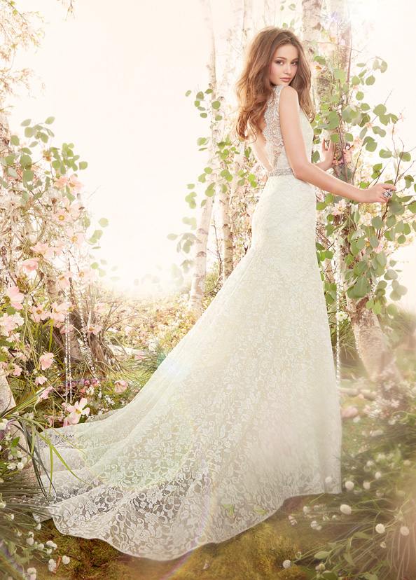 jim-hjelm-svadobné šaty-čipka-výstrih-v-predný-zadný-kryštálový opasok