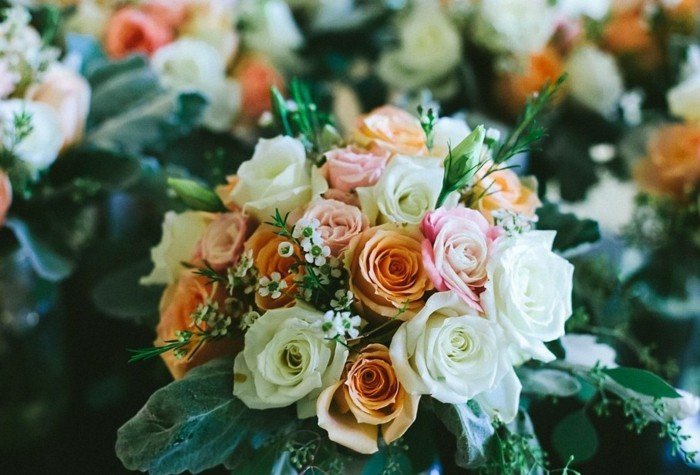 čerstvé rezané ruže biele svetlo ružové Rezané kvety ruže biela svetlo ružová broskyňová farba