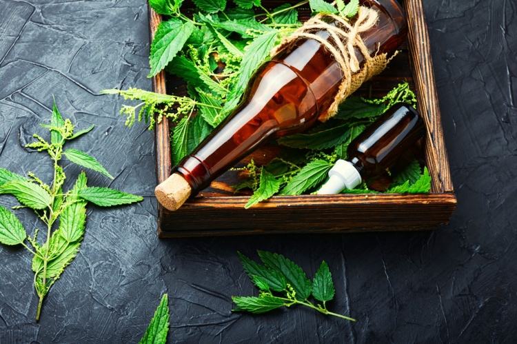 Čo spôsobuje žihľavový čaj rôzne recepty na domáce opravné prostriedky