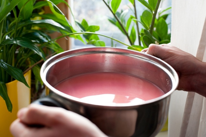 Varenie tapiokového ovocného čajového džúsu s perlami