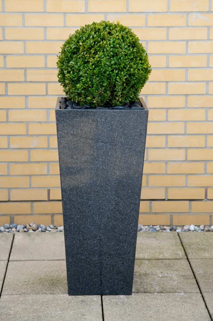 Boxwood-topiary-plantážnik-izbové-rastliny-terasa-dizajn