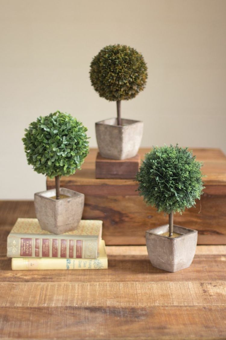 Boxwood topiary strom-dekoratívne-gule-vyrobte si sami