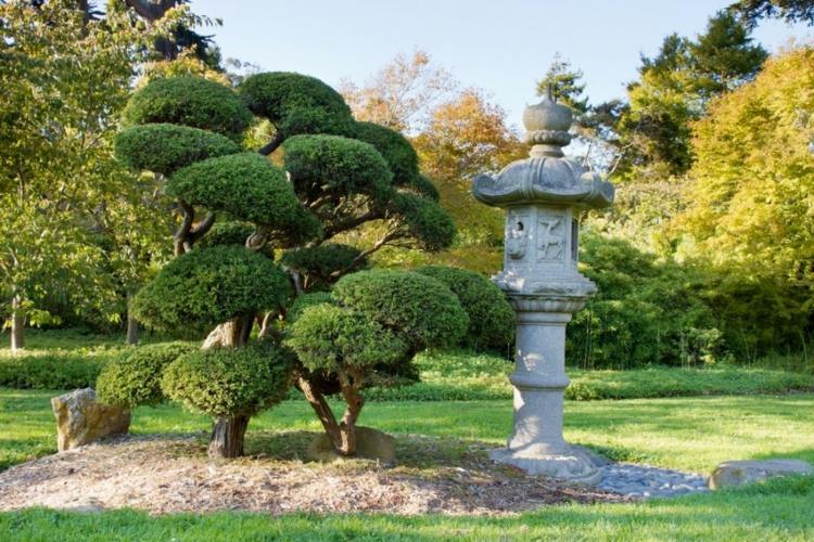 zimostráz-topiary-bonsai-cyprus-ihličnan-japonská-záhradná-melír