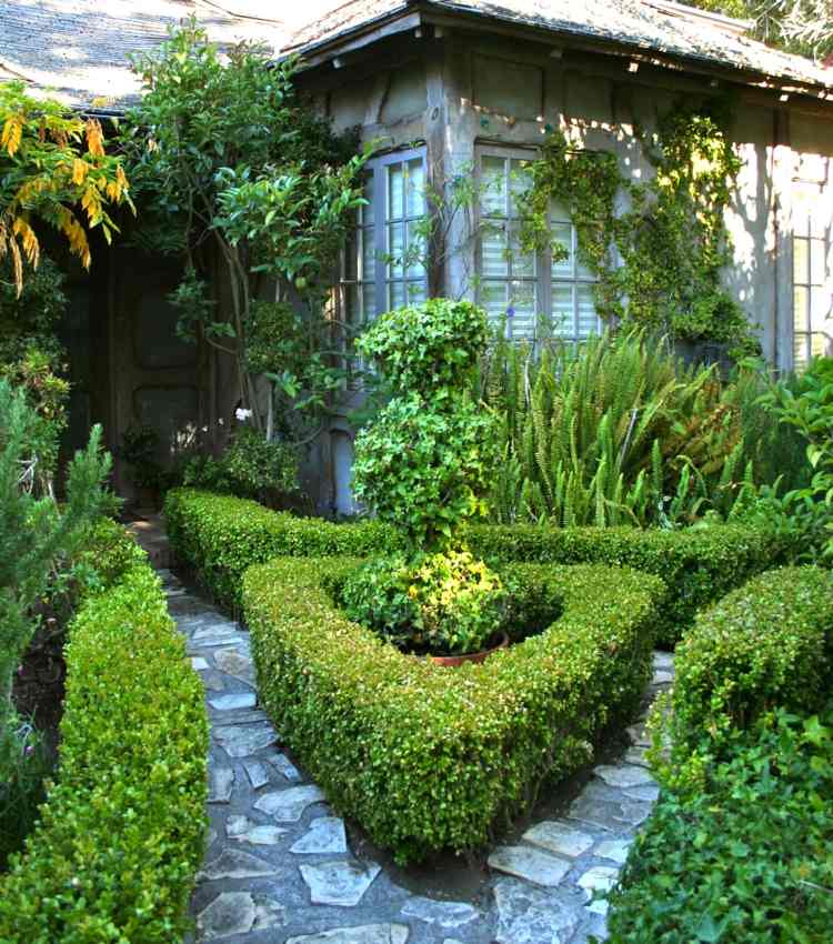 buxus záhradný trojuholník živý plot záhradná cesta baeumchen