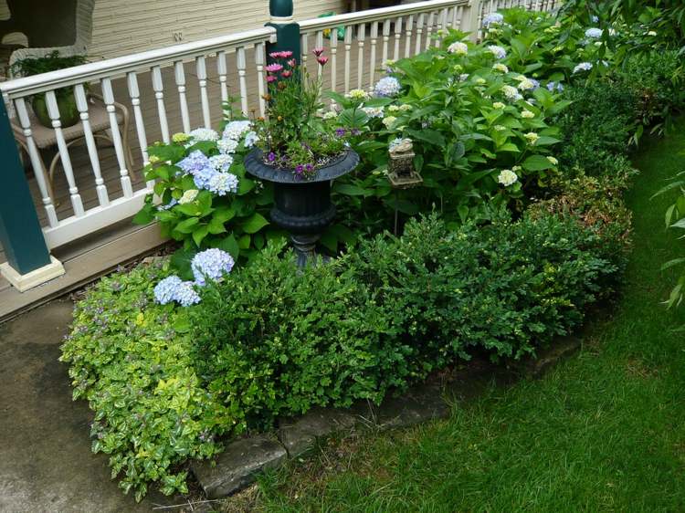 Zimostráz v záhrade samozrejme vyzerá kvetináč kríky plot veranda