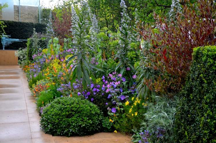 zimostráz v záhrade roh prízvuk kvety farebné aranžmán