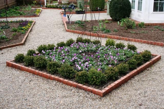 zimostráz rastliny kvety záhon orgován kvety hranice