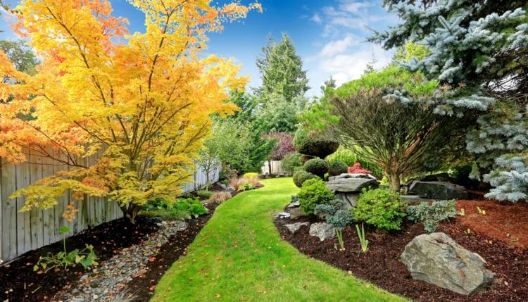 stromy do záhrady japonsko-javorovo-žlté listy