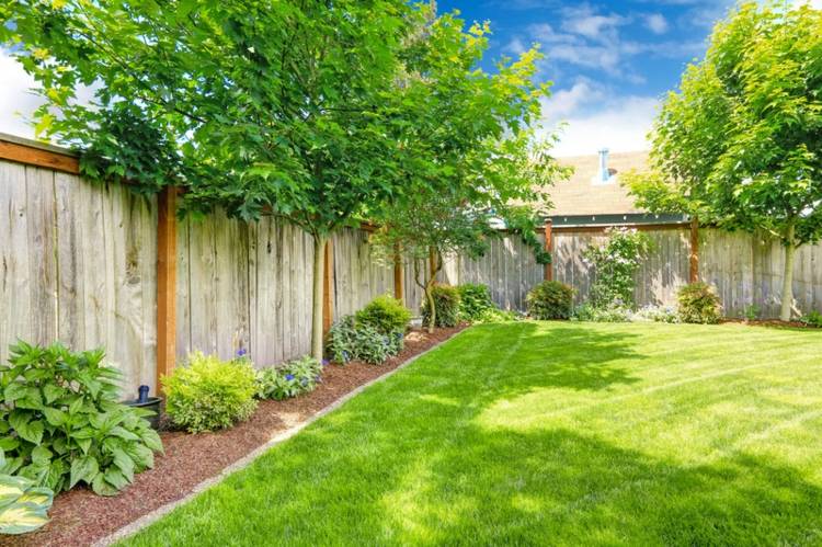 stromy-záhradný-dizajn-exteriér-ochrana-súkromia-kríky