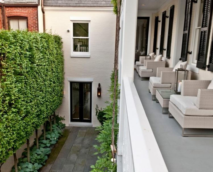 Stromy pre malé záhradky -hofe-habr-Carpinus-betulus-fastigiata