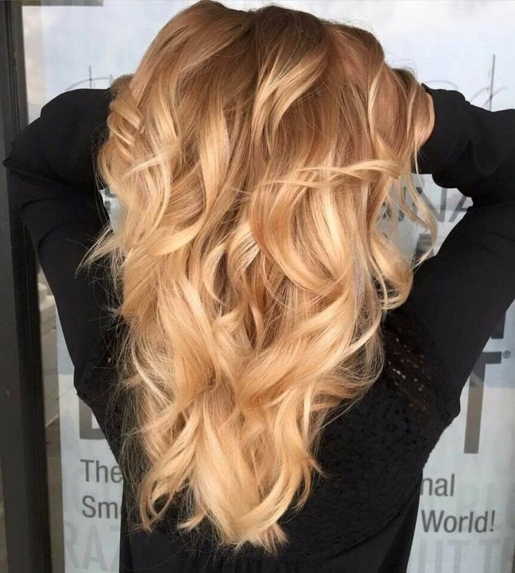 Medové blond vlasy s tmavými odleskami Plavá blond farba vlasov