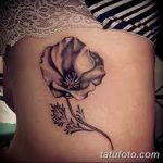 Fekete -fehér tetoválás fotója 2018.08.08. №472 - fekete -fehér tetoválás -