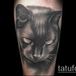 A fekete tetoválás # 815 a minta érdekes változata, amely sikeresen használható az átalakításhoz és a lábhoz való fekete tetováláshoz