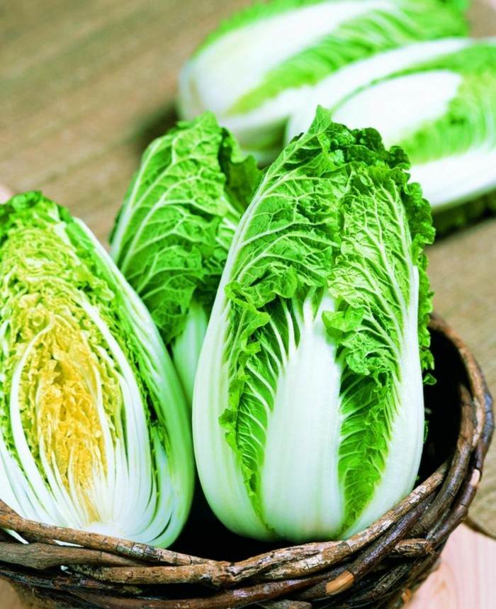 Sadte a zbierajte čínsku kapustu - jednoducho odrežte hlávkový šalát polovica prútia z košíka čínskej kapusty zanecháva zdravé vitamíny
