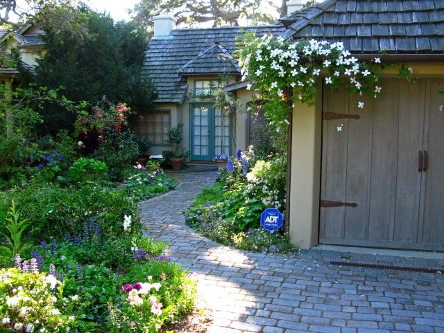 klematis záhradné rastliny tipy na starostlivosť kvitnúci horolezec