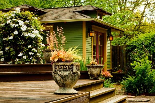 plamienok záhradné rastliny popínavá rastlina japonská záhrada biela